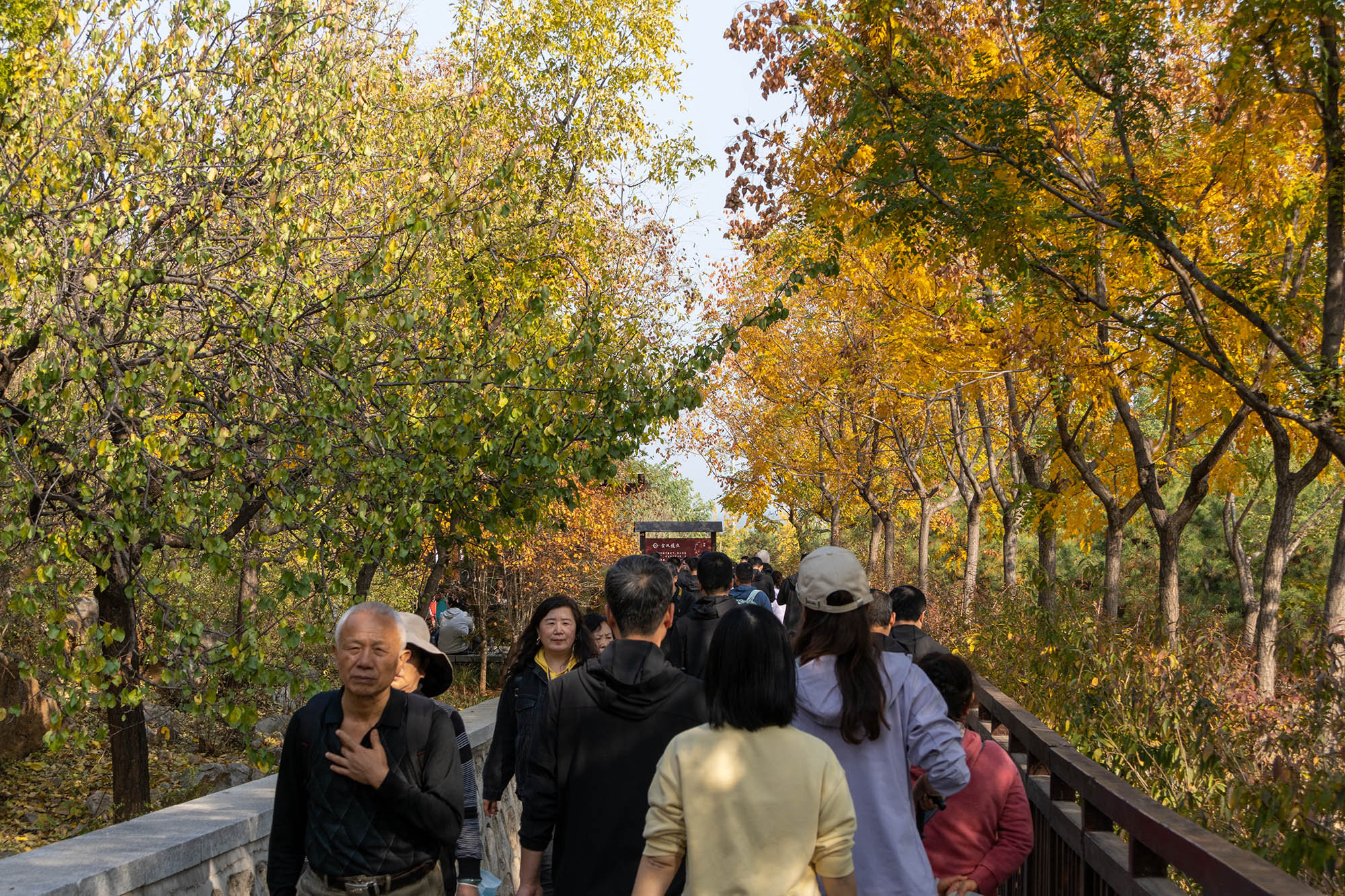 明年再见咯绝美赏秋步道 | 雁栖湖西山步道