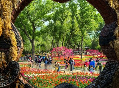 国家植物园“春生”主题健步走