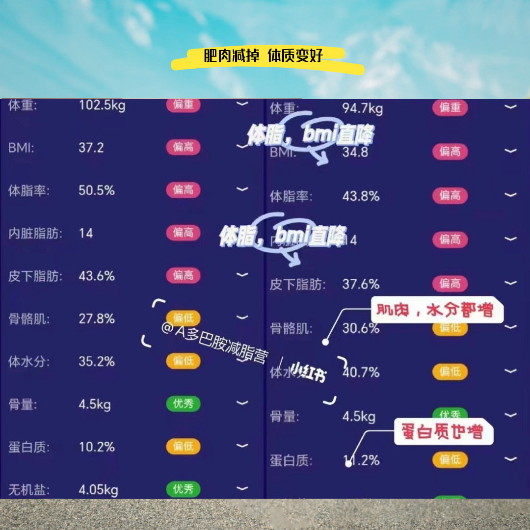 出营数据